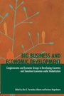 Cover: Big Business and Economic Development - Routledge