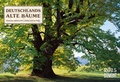 Cover: Deutschlands alte B&auml;ume - Kalender 2015 - DuMont Kalenderverlag
