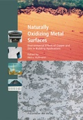 Cover: Naturally Oxidizing Metal Surfaces - Fraunhofer IRB Verlag