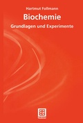 Cover: Illegale Transaktionen und staatliches Handeln - Deutscher Universit&auml;tsverlag