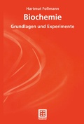 Cover: Illegale Transaktionen und staatliches Handeln - Deutscher Universit&auml;tsverlag