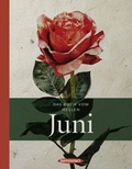 Cover: Das Buch vom hellen Juni - Hanser