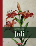 Cover: Das Buch vom leuchtenden Juli - Hanser