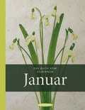 Cover: Das Buch vom silbernen Januar - Hanser