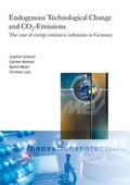 Cover: Endogenous technological change and CO2-Emissions. - Fraunhofer IRB Verlag