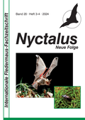 Abbildung von: Nyctalus - Nyctalus