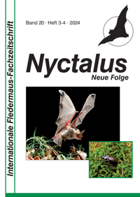 Abbildung von: Nyctalus - Nyctalus