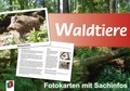 Cover: Waldtiere - Verlag an der Ruhr