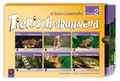 Cover: Tierisch spannend - Paket 2 - Verlag an der Ruhr