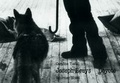 Cover: Coyote - Schirmer Mosel