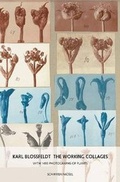 Cover: Working Collages - Schirmer Mosel