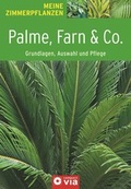 Cover: Palme, Farn & Co. - Grundlagen, Auswahl und Pflege - Circon Verlag GmbH