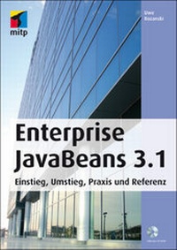 Enlarge image Cover: Enterprise JavaBeans 3.1 - MITP