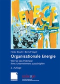 Cover: Organisationale Energie - Springer Gabler