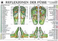 Abbildung von: Reflexzonen der Füße (Tafel A2) - MVS Medizinverlage Stuttgart