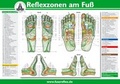 Cover: Reflexzonen am Fu&szlig; (A2) - Karl F. Haug