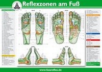 Abbildung von: Reflexzonen am Fuß (A2) - Karl F. Haug