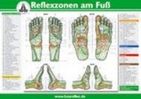 Abbildung von: Die Reflexzonen der Füße - Karl F. Haug