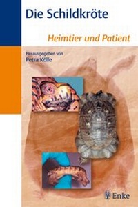 Abbildung von: Die Schildkröte - Enke