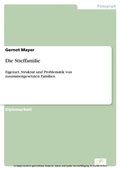 Cover: Die Stieffamilie - diplom.de