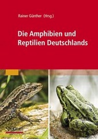 Abbildung von: Die Amphibien und Reptilien Deutschlands - Spektrum Akademischer Verlag