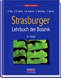 Cover: Strasburger - Lehrbuch der Botanik f&uuml;r Hochschulen - Spektrum Akademischer Verlag