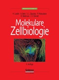 Cover: Molekulare Zellbiologie - Spektrum Akademischer Verlag