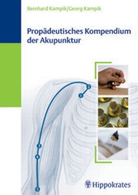 Abbildung von: Propädeutisches Kompendium der Akupunktur - MVS Medizinverlage Stuttgart
