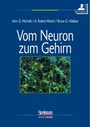 Cover: Vom Neuron zum Gehirn (Studienausgabe) - Spektrum Akademischer Verlag