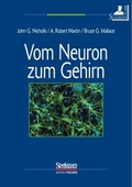 Cover: Vom Neuron zum Gehirn (Studienausgabe) - Spektrum Akademischer Verlag