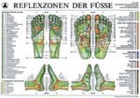 Abbildung von: Reflexzonen der Füße (Tafel A4) - MVS Medizinverlage Stuttgart