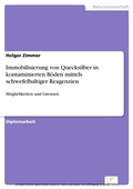 Cover: Immobilisierung von Quecksilber in kontaminierten B&ouml;den mittels schwefelhaltiger Reagenzien - diplom.de