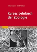 Cover: Kurzes Lehrbuch der Zoologie - Spektrum Akademischer Verlag
