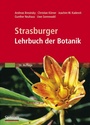 Cover: Strasburger - Lehrbuch der Botanik - Spektrum Akademischer Verlag