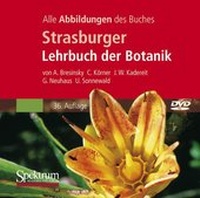 Enlarge image Cover: Bild-DVD, Strasburger Botanik - Spektrum Akademischer Verlag