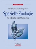 Cover: Spezielle Zoologie. Teil 1: Einzeller und Wirbellose Tiere (Nachdruck 2004) - Spektrum Akademischer Verlag