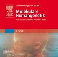 Abbildung von: Bild-CD-ROM, Molekulare Humangenetik - Spektrum Akademischer Verlag