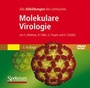 Cover: Molekulare Virologie - Spektrum Akademischer Verlag