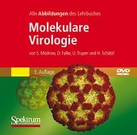 Abbildung von: Molekulare Virologie - Spektrum Akademischer Verlag