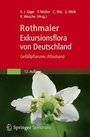 Bild: Rothmaler - Exkursionsflora von Deutschland, Gef&auml;&szlig;pflanzen: Atlasband - Spektrum Akademischer Verlag