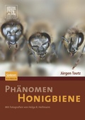 Cover: Ph&auml;nomen Honigbiene - Spektrum Akademischer Verlag