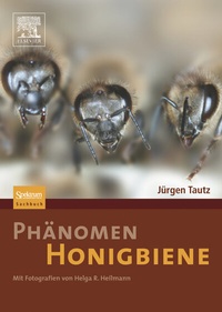 Abbildung von: Phänomen Honigbiene - Spektrum Akademischer Verlag