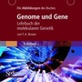 Cover: Die Abbildungen des Buches "Genome und Gene" - Spektrum Akademischer Verlag