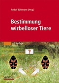 Cover: Bestimmung wirbelloser Tiere - Spektrum Akademischer Verlag