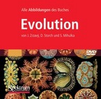 Enlarge image Cover: Bild-DVD, Evolution - Spektrum Akademischer Verlag