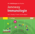 Cover: Bild-DVD, Janeway Immunologie - Spektrum Akademischer Verlag