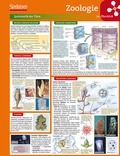 Cover: Lerntafel: Zoologie im &Uuml;berblick - Spektrum Akademischer Verlag