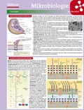 Cover: Lerntafel: Mikrobiologie im &Uuml;berblick - Spektrum Akademischer Verlag