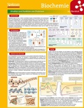 Cover: Lerntafel: Biochemie im &Uuml;berblick - Spektrum Akademischer Verlag