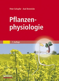 Abbildung von: Pflanzenphysiologie - Spektrum Akademischer Verlag